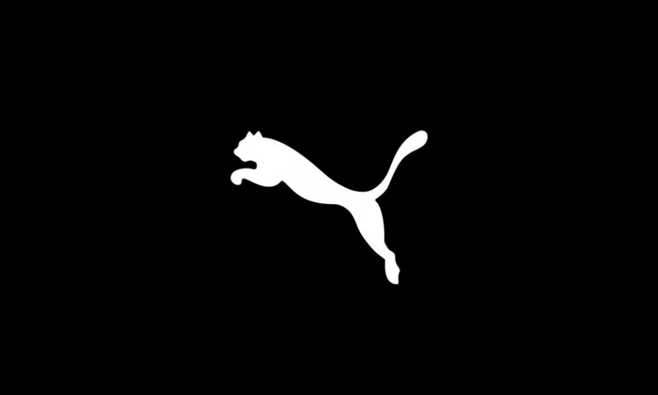 Chandal Puma